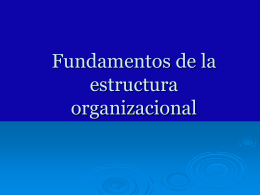 Fundamentos de la estructura organizacional - DISEO