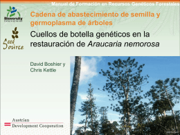 Studies of genetic diversity in tree species