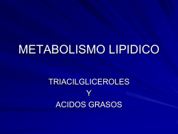 METABOLISMO LIPIDICO - Bioquimica113's Blog
