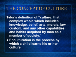 THE CONCEPT OF CULTURE