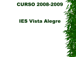 CURSO 2008-2009 IES Vista Alegre
