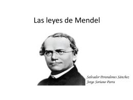 Las leyes de Mendel
