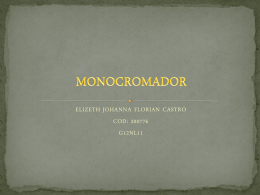 MONOCROMADOR