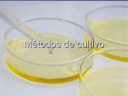 Metodos de cultivo - Microcosmorflores