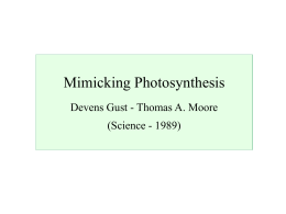 Mimicking Photosynthesis (1989)