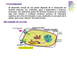 Diapositiva 1 - Mis Clases fisiologia vegetal