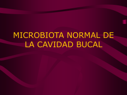 MICROBIOTA NORMAL DE LA CAVIDAD BUCAL