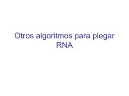 Otros algoritmos para plegar RNA