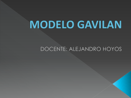 MODELO GAVILAN