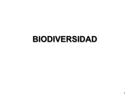 BIODIVERSIDAD - Cienciasdelavidauvg's Blog