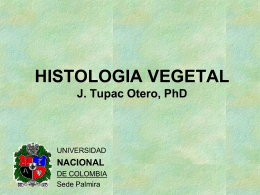 HISTOLOGIA VEGETAL - Universidad Nacional de Colombia