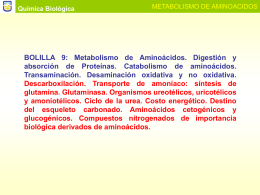 METABOLISMO DE AMINOACIDOS (Bolilla 9)
