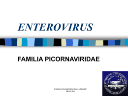 Virus ARN - Pixelnet e