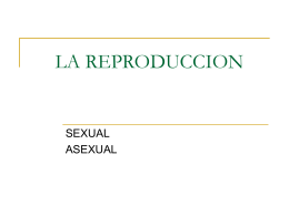 REPRODUCCION SEXUAL - tareas8b | Just another …