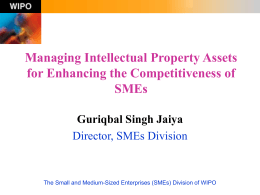 The Small and Medium-Sized Enterprises (SMEs) Division …
