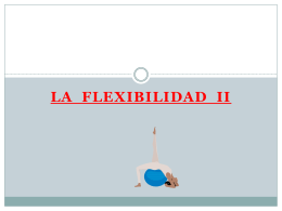 LA FLEXIBILIDAD II - Felipedepormania's Blog