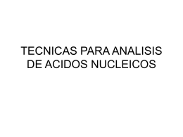 TECNICAS PARA ANALISIS DE ACIDOS NUCLEICOS