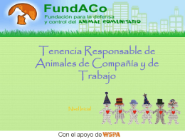 www.fundaco.org