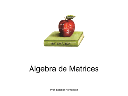 Algebra de Matrices