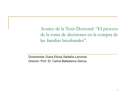 Avance de la Tesis Doctoral “El proceso de la toma de