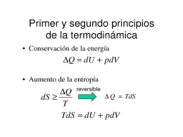 Diapositiva 1