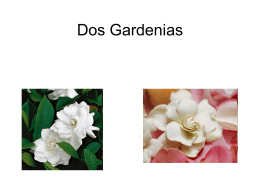 Dos Gardenias - Home | Open Websites