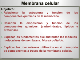 Membrana celular