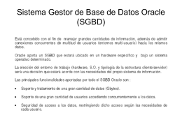 Sistema Gestor de Base de Datos Oracle (SGBD)