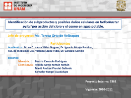 Diapositiva 1 - Instituto de Ingenieria UNAM