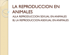 LA REPRODUCCION EN ANIMALES