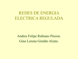 REDES DE ENERGIA ELECTRICA REGULADA