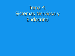 Tema 4. Sistemas Nervioso y Endocrino
