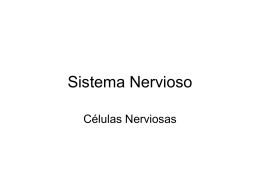 Sistema Nervioso II