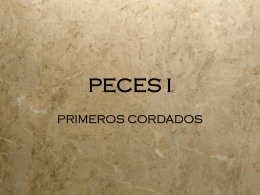 PECES I - Inicio