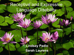 Receptive and Expressive Language Disability