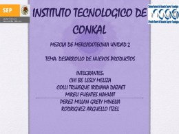INSTITUTO TECNOLOGICO DE CONKAL