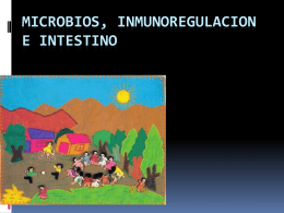 Microbios, inmunoregulacion e intestino