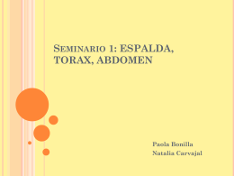 Seminario 1: ESPALDA, TORAX, ABDOMEN