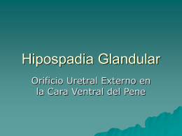 Hipospadia Glandular