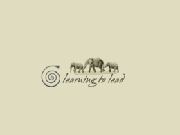 learning to lead