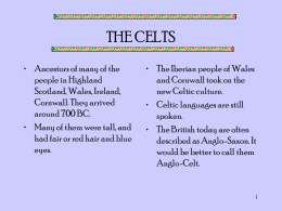 THE CELTS
