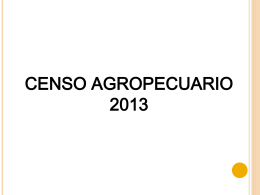 CENSO AGROPECUARIO 2013