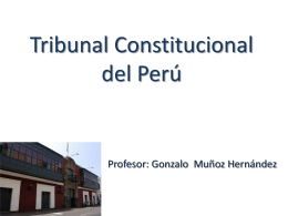Tribunal Constitucional del Per&#250