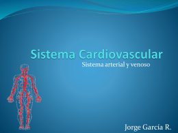 Sistema Cardiovascular - Fisioterapia | Departamento de