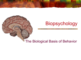Biopsychology - Web.LeMoyne.Edu