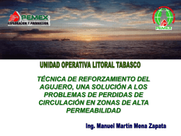 Diapositiva 1 - IMIQ- Instituto Mexicano de Ingenieros