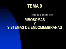 TEMA 9 RIBOSOMAS Y SISTEMAS DE ENDOMEMBRANAS