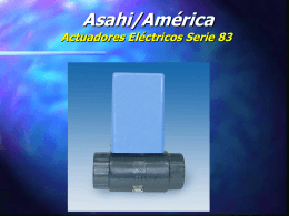 Asahi/America Thermoplastic Valves