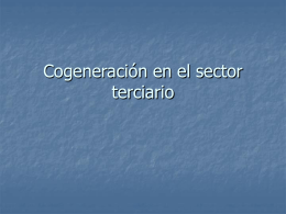 Cogeneracion sector terciario