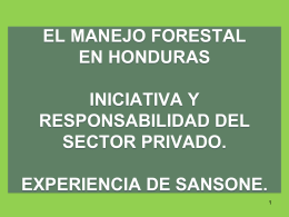 EL MANEJO FORESTAL COMO INICIATIVA Y …